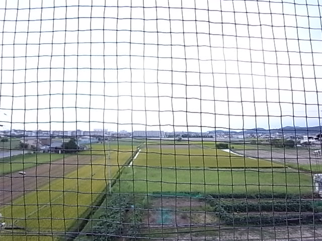 物件写真12枚目