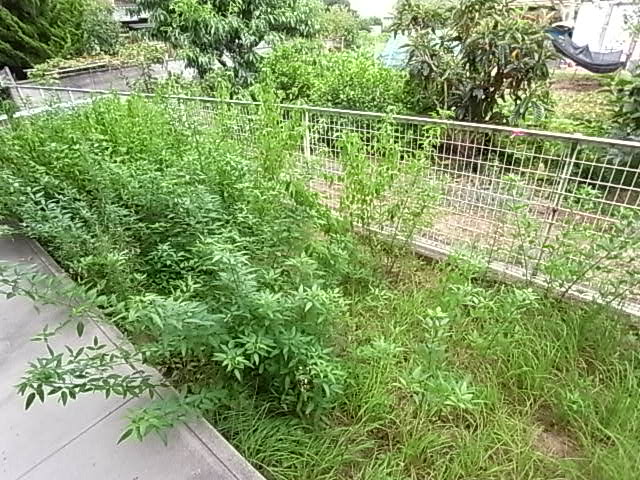 物件写真11枚目
