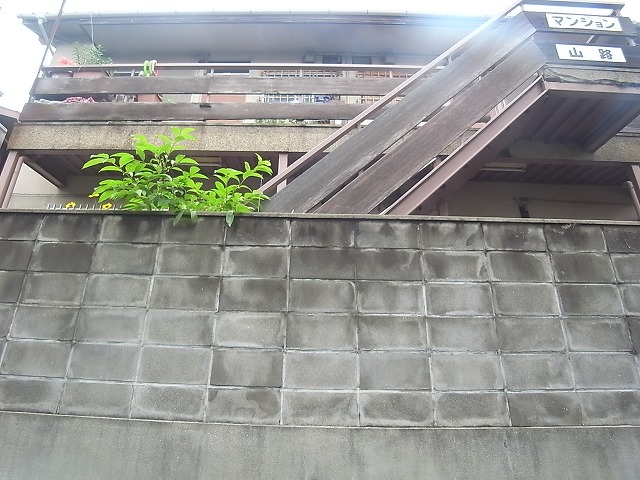 物件写真19枚目