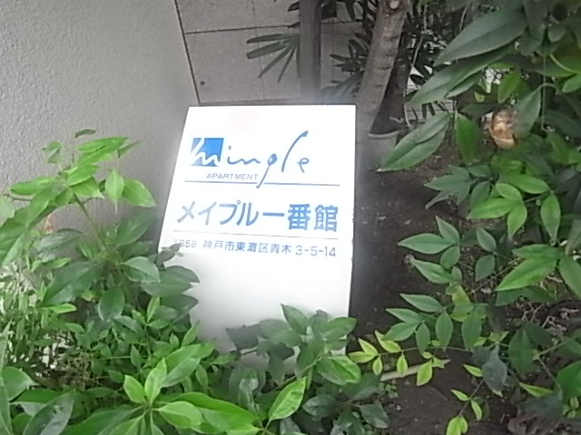 物件写真14枚目