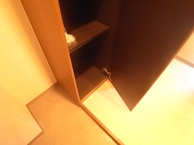 物件写真12枚目